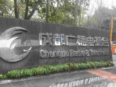 2025荣耀艺生全民艺术电视春晚盛况空前